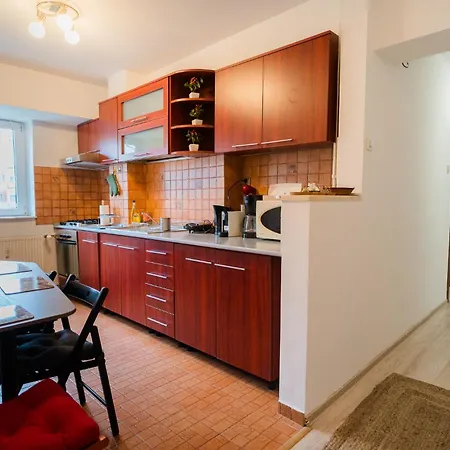 Spacious Near City Center Appartement