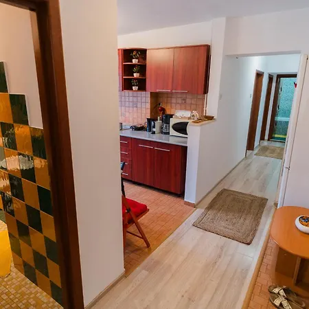 Spacious Near City Center * Boekarest